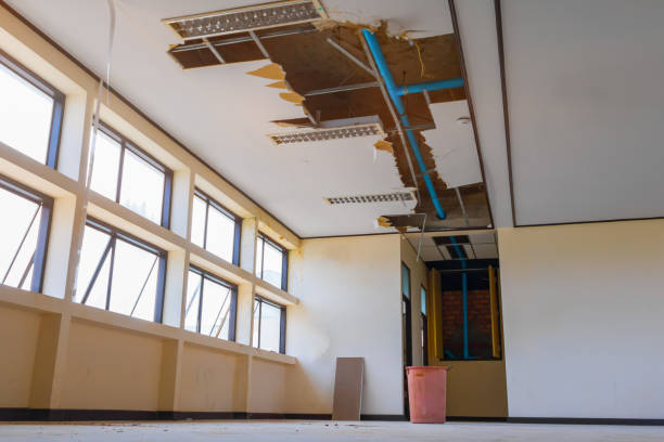Best Local water damage restoration  in Summerside, OH