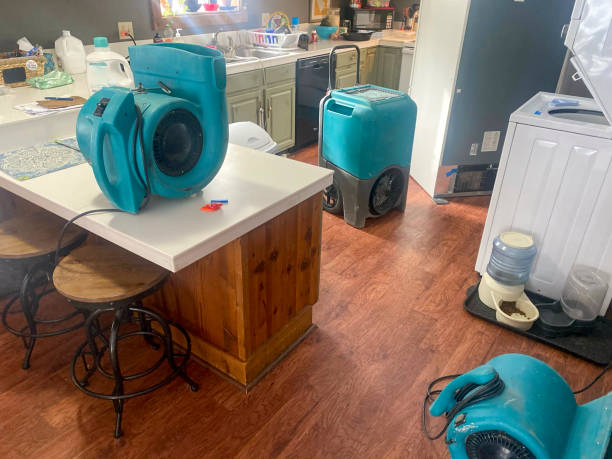 Best Water damage restoration near me  in Summerside, OH