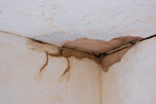 Best Flooded house restoration  in Summerside, OH