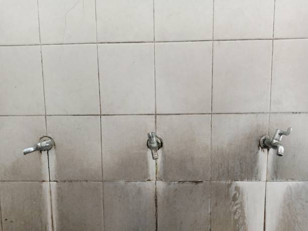 Best 24-hour water damage restoration  in Summerside, OH