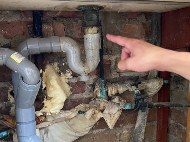 Best Water damage cleanup near me  in Summerside, OH