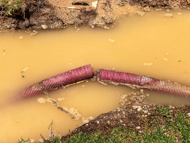 Best Flood damage cleanup  in Summerside, OH