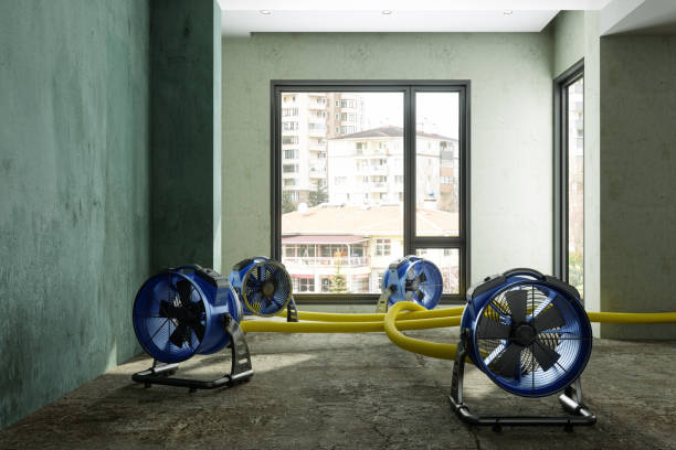 Best Local water damage restoration  in Summerside, OH
